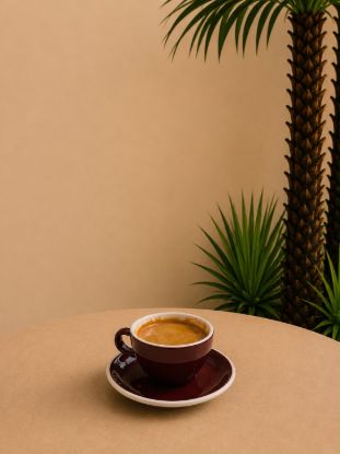 Americano resmi